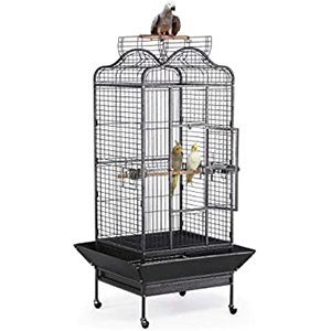 Bird Cages and Accessories